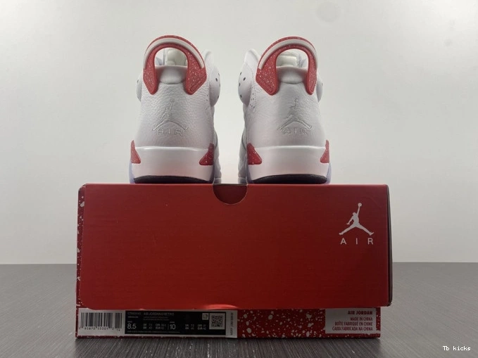 Reps TBK 6 CT8529-162 Jordan Retro Hare 0805